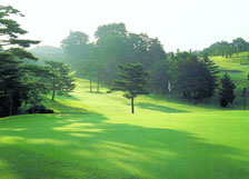 �����ە�˃J���c���[��y��